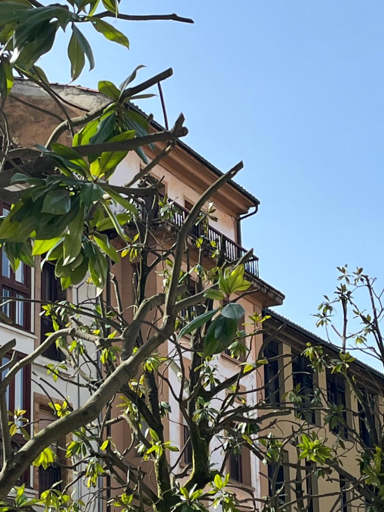 Apartamento Salsipuedes-la Catedral Oviedo